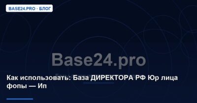 Как использовать База ДИРЕКТОРА РФ Юр лица фопы — Ип